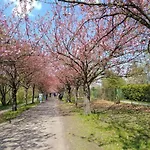 Quiet In Prenzlauer Berg Near Mauerpark * 베를린