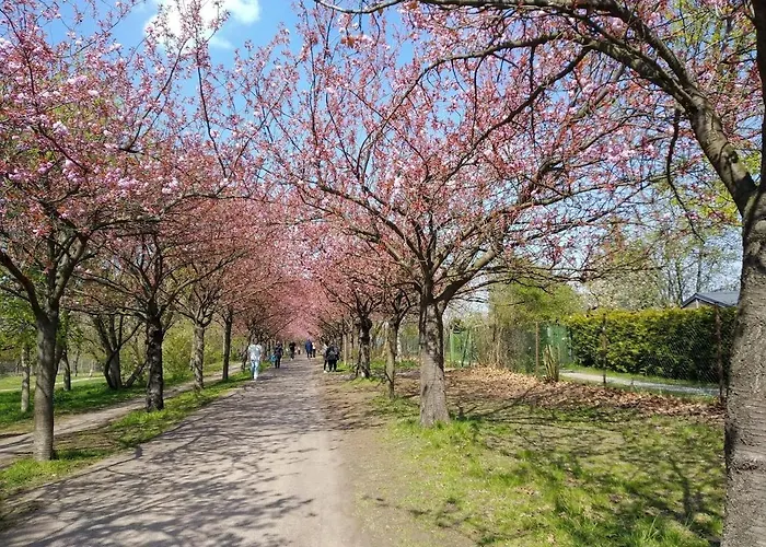 Quiet In Prenzlauer Berg Near Mauerpark * Berlin