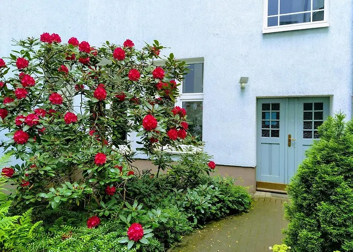 Apartment Quiet In Prenzlauer Berg Near Mauerpark *